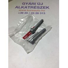 Kia Hyundai hátsó lengőkar csavar 545612G000