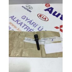 Kia Sorento Hyundai H1 csavar injektor leszorító 338164A001