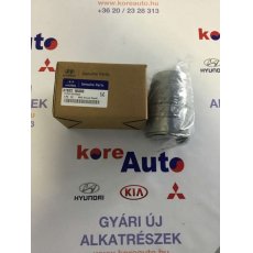 Kia Sportage QL Hyundai i40 1.7 CRDI üzemanyagszűrő 319221K800